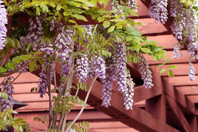 Pergola na zahradě může vkusně doplnit dětské hřiště s pískovištěm